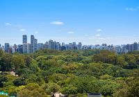 Sao paulo ibirapuera parque