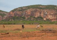 Serra da capivara brasil piaui campo aberto cavalos