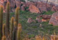 Serra da capivara brasil piaui rocha vista