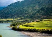 Six senses punakha vale
