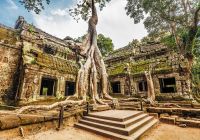 Camboja siemreap angkor templo
