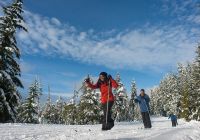 Canada callaghan ski area whistler