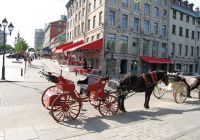 Carruagem em Montreal 
