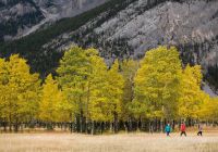 Outono Banff National Park 