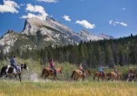 Passeio a cavalo Banff National Park
