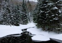 Tremblant neve