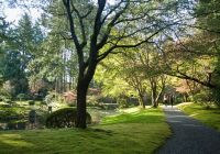 Vancouver ubc nitobe memorial gardens