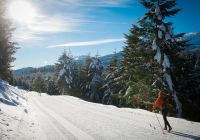 Whistler callaghan valley canada
