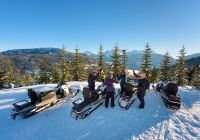 Whistler snowmobile