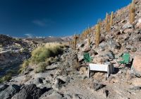 Awasi atacama refeicao ar livre