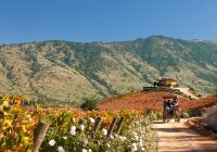 Rota do Vinho no Chile
