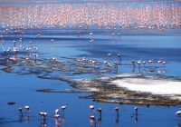 Travessia uyuni lagoa altiplano