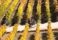 Valle de Colchagua
