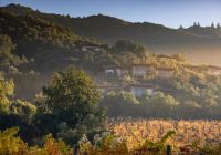 Villa clos apalta