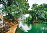 Dragon bridge yulong village