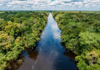 Cruzeiro aqua expeditions amazonia rio aerea