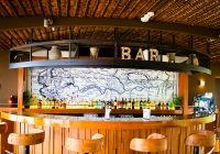 Delfin iii amazon cruises bar