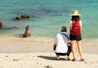 Galapagos andbeyond galapagos explorer leao marinho e viajantes