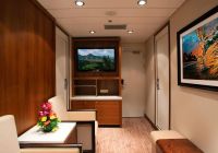 Norwegian cruise line hava pride of america studio lounge