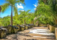Oceania cruises honduras Roatan forte
