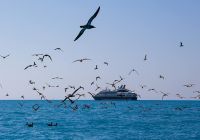 Ponant navio