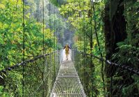 Costa rica selva tropical verde