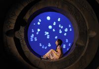 Atlantis the palm lost chambers jellyfish