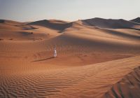 Det visit dubai dubai desert