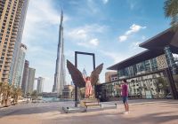 Dubai mexixan wings