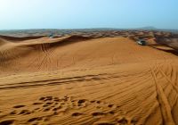 Pacote Dubai safári deserto