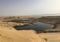 Fayoum