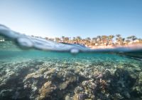 Four seasons sharm el sheikh corais