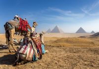 Piramides cairo egito