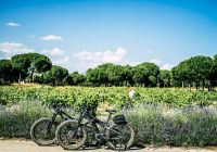 Abadia retuerta ledomaine passeio ebike