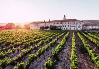 Abadia retuerta ledomaine vista externa