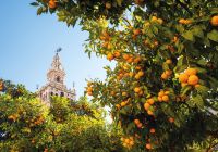 Andaluzia