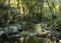 Espanha aquintadaauga rio