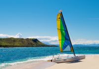 Fiji vomo island catamaran