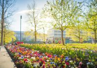 Tampere summer in city center