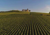 Franca champagne campo vinhedo
