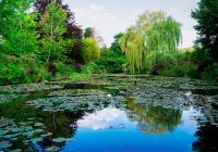 Franca giverny jardim de monet summer day