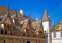 Franca the hospices of beaune