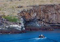 Iate aquaexpeditions galapagos aquamare rocha