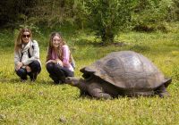 Iate aquaexpeditions galapagos experiencia tartaruga