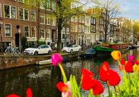 Amsterdam tulipas barco