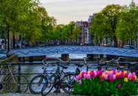 Amsterdam tulipas bicicletas rio