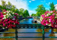 Amsterdam tulipas rio