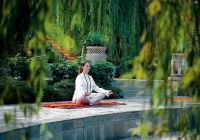 Meditacao Ananda in the Himalayas 06