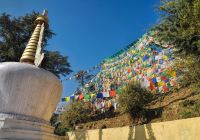 Shutterstock india bandeiras de oracao em dharamshala