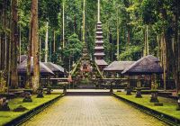 Floresta ubud
